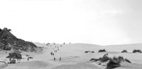 [Fig. 04] Panoramic view of the Dune on Bolonia Bay, declared Natural Monument. Photo: Mar Loren, August 2011. 
